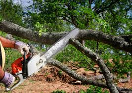 Best Utility Line Clearance  in , AL