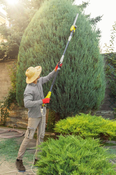 Best Tree Disease Treatment  in , AL